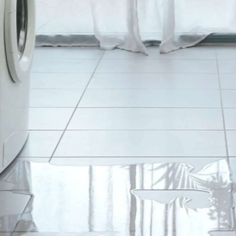 Appliance Leak Cleanup in Westminster, SC